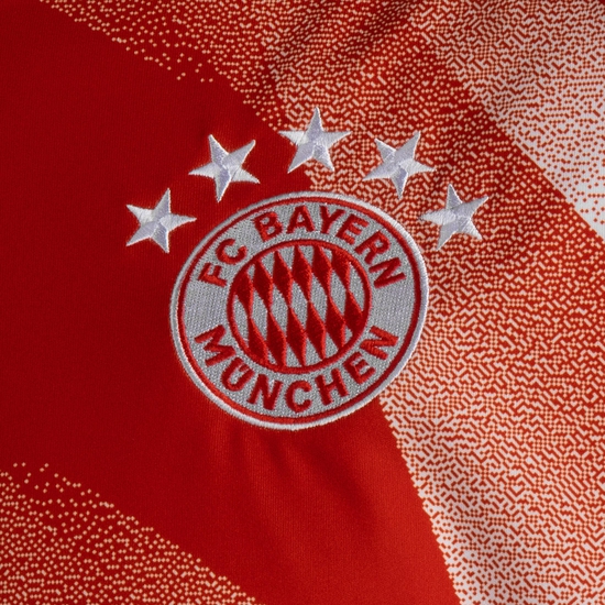 FC Bayern München Pre-Match Sweatshirt Herren, rot, zoom bei OUTFITTER Online