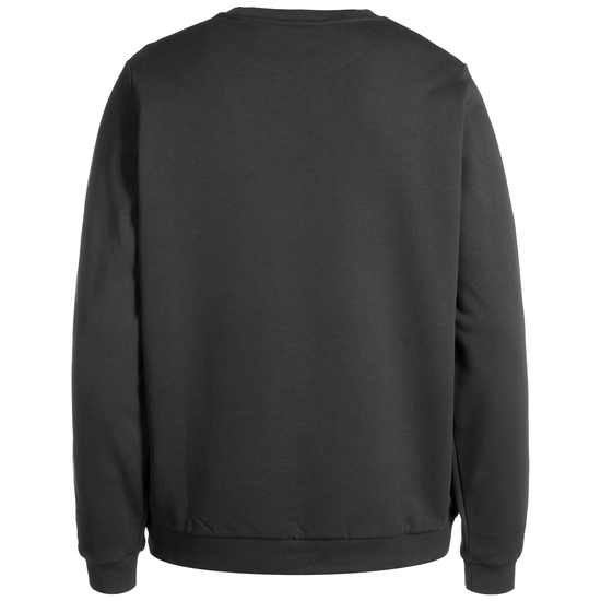 Embroidered Sweatshirt Herren, grau, zoom bei OUTFITTER Online