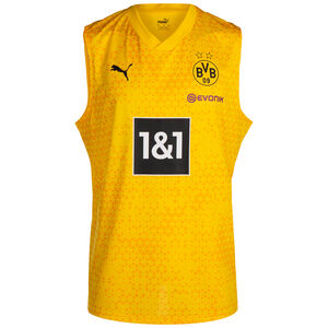 Borussia Dortmund Trainingsshirt Herren, gelb / schwarz, zoom bei OUTFITTER Online