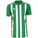 Striped 21 Fußballtrikot Herren, grün / weiß, zoom bei OUTFITTER Online