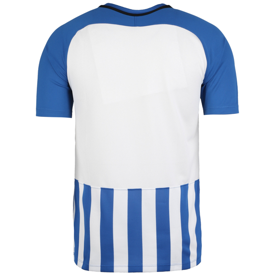Striped Division III Fußballtrikot Herren, blau / weiß, zoom bei OUTFITTER Online
