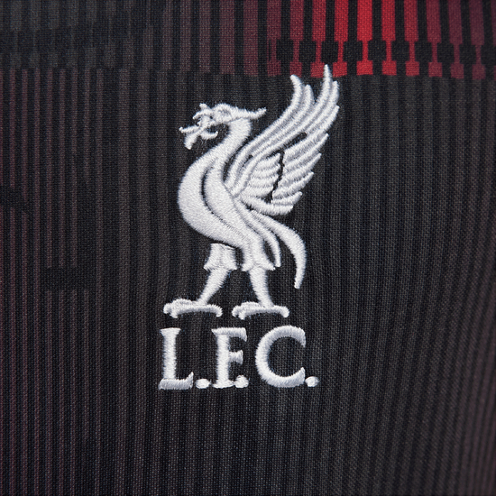 FC Liverpool Academy Pro Trainingsshirt Herren, rot / grau, zoom bei OUTFITTER Online