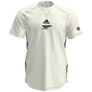 FC Arsenal Travel T-Shirt Herren, creme / schwarz, zoom bei OUTFITTER Online