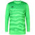 OCEAN FABRICS TAHI Match Keeper Jersey, grün, zoom bei OUTFITTER Online