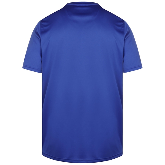 Fit Logo Graphic Trainingsshirt Herren, blau, zoom bei OUTFITTER Online