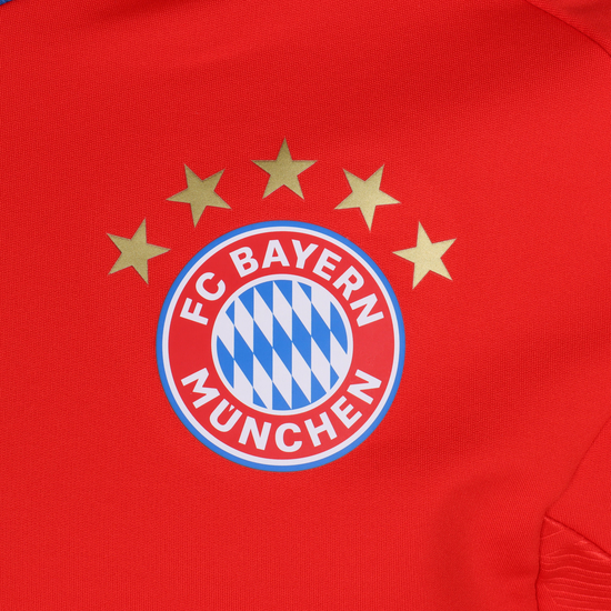 FC Bayern München Trainingssweat Herren, rot, zoom bei OUTFITTER Online