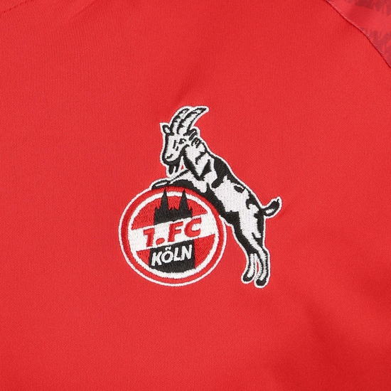 1. FC Köln Goal 24 Trainingsshirt Herren, rot, zoom bei OUTFITTER Online
