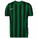 Striped Division IV Fußballtrikot Herren, grün / schwarz, zoom bei OUTFITTER Online