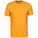 Iso-Chill Run 200 Laufshirt Herren, orange, zoom bei OUTFITTER Online