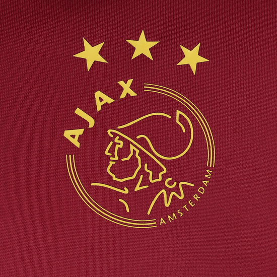 Ajax Amsterdam Trainingssweat Herren, rot, zoom bei OUTFITTER Online