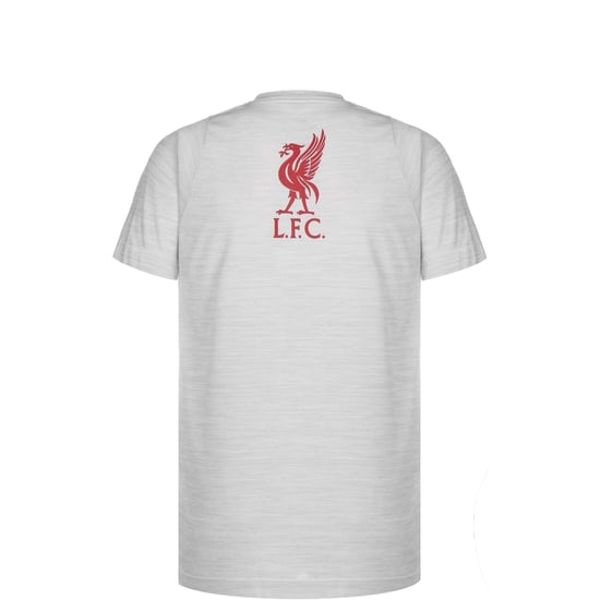FC Liverpool Legend T-Shirt Kinder, hellgrau, zoom bei OUTFITTER Online