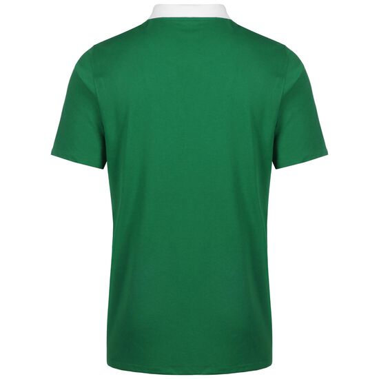 Park 20 Dry Poloshirt Herren, grün / weiß, zoom bei OUTFITTER Online