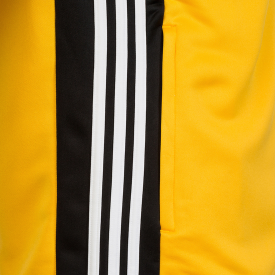 Regista 18 Trainingsjacke Herren, gelb / schwarz, zoom bei OUTFITTER Online