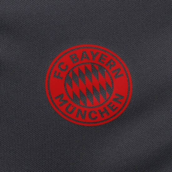 FC Bayern München Trainingssweat Damen, anthrazit / rot, zoom bei OUTFITTER Online