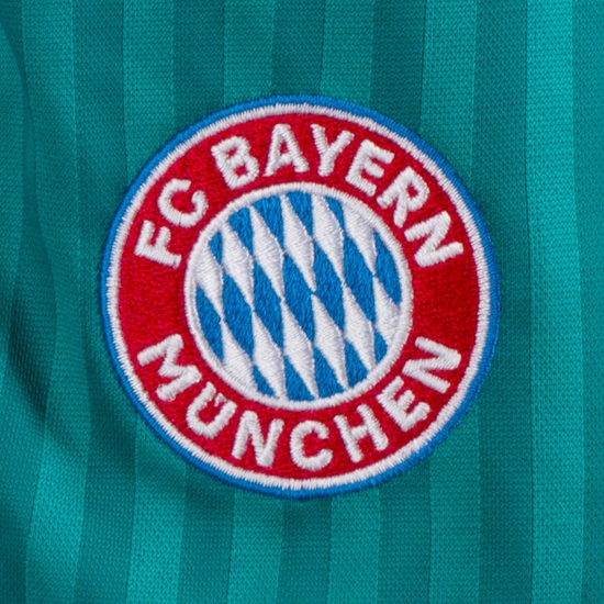 FC Bayern München Icon Trainingsshorts Herren, grün, zoom bei OUTFITTER Online