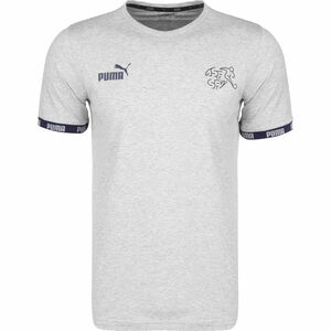 Schweiz FtblCulture T-Shirt EM 2021 Herren, grau, zoom bei OUTFITTER Online