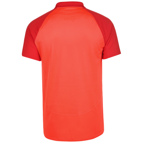 Academy Pro Poloshirt Herren, dunkelrot / rot, zoom bei OUTFITTER Online