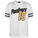 NFL Green Bay Packers Stripe Sleeve Oversized T-Shirt Herren, weiß / gelb, zoom bei OUTFITTER Online