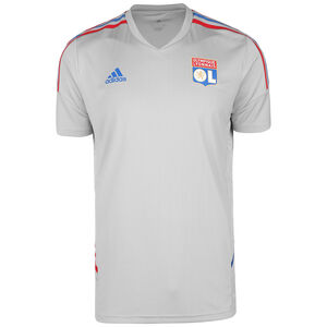 Olympique Lyon Trainingsshirt Herren, grau / rot, zoom bei OUTFITTER Online