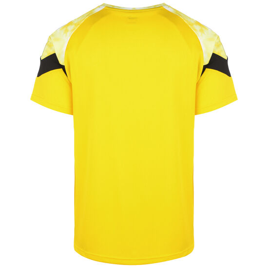 Borussia Dortmund Iconic MCS T-Shirt Herren, neongelb / schwarz, zoom bei OUTFITTER Online