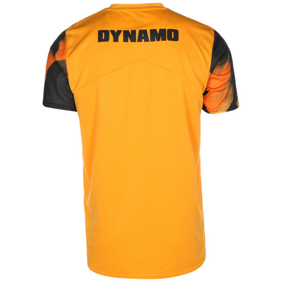 SG Dynamo Dresden Warm Up Trikot Herren, gelb / schwarz, zoom bei OUTFITTER Online