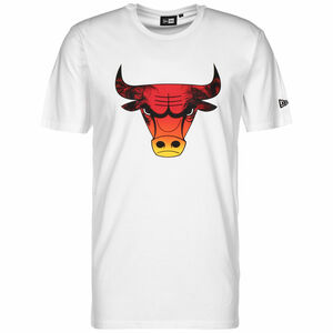 NBA Chicago Bulls Summer City T-Shirt Herren, weiß, zoom bei OUTFITTER Online