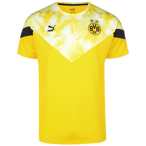 Borussia Dortmund Iconic MCS T-Shirt Herren, neongelb / schwarz, zoom bei OUTFITTER Online