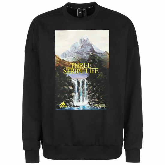 Mountain Graphic Sweatshirt Herren, schwarz, zoom bei OUTFITTER Online