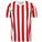 Striped Division IV Fußballtrikot Herren, weiß / rot, zoom bei OUTFITTER Online