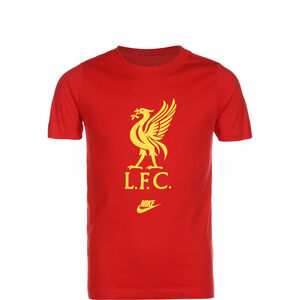 FC Liverpool Futura Crest T-Shirt Kinder, rot / gelb, zoom bei OUTFITTER Online
