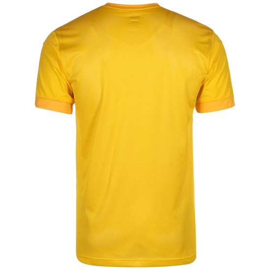 TeamGOAL 23 Jersey  Fußballtrikot Herren, neongelb / gelb, zoom bei OUTFITTER Online