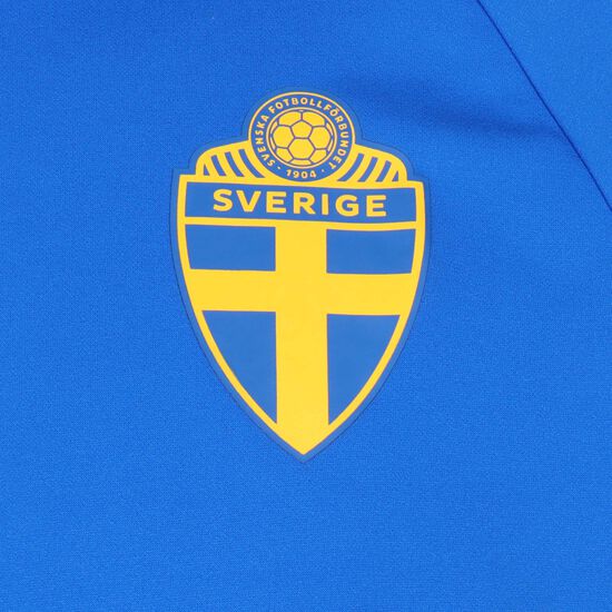 Schweden Trainingssweat WM 2022 Herren, blau / gelb, zoom bei OUTFITTER Online