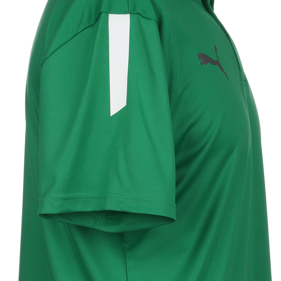 TeamLIGA Sideline Poloshirt Herren, grün / weiß, zoom bei OUTFITTER Online